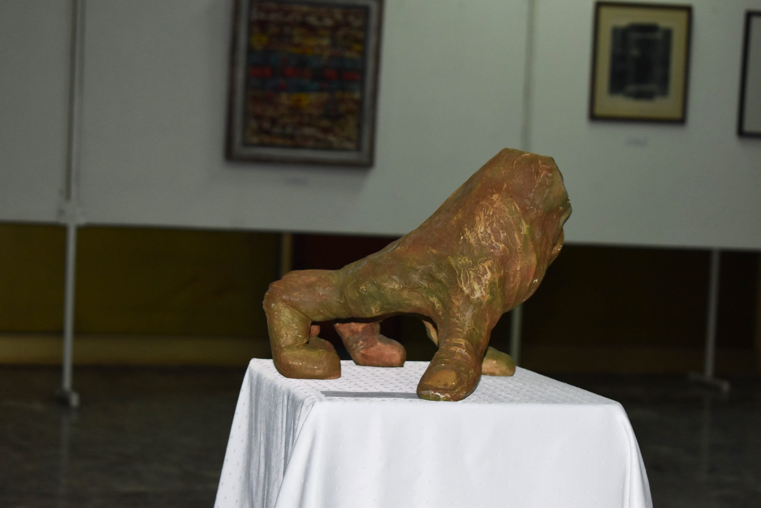 DSC_0019